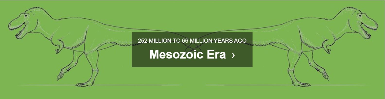 Mesozoic Era (U.S. National Park Service)