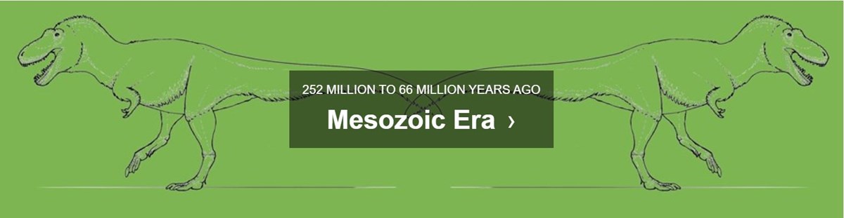 green background with text mesozoic era 252 MILLION TO 66 MILLION YEARS AGO