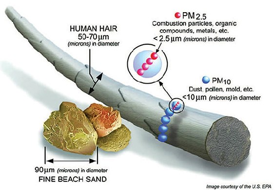 lt= A graphic comparing the size of a human hair, fine beach sand, coarse particles, and fine particles. Coarse particles are shown to be 10pm, smaller than the width of a human hair, whereas fine particles are 2.5pm, a fraction of the size.