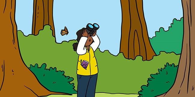 A cartoon of a researcher looking through binoculars with a butterfly behind her.