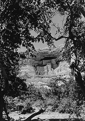 Cliff dwelling built into a limestone recess at Montezuma Castle National Monument. Cliff dwelling built into a limestone recess at Montezuma Castle National Monument.