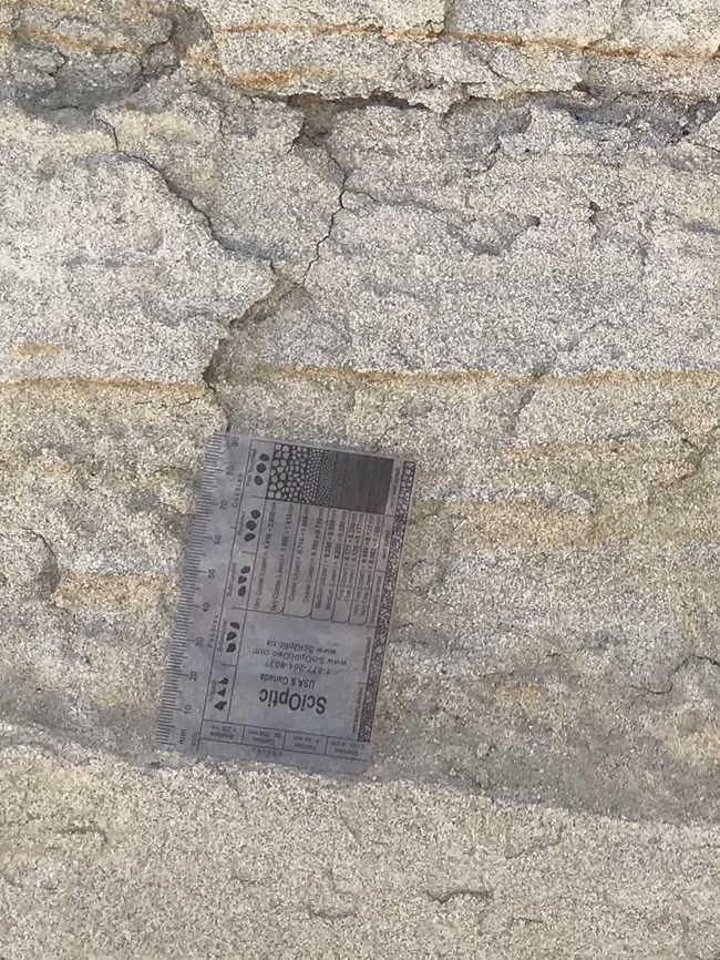 nabrgeo crossbedding CROPPED a translucent card to help sort grains in rock, propped on a gray stone