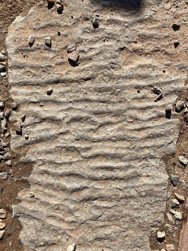 Small Scale Example overhead view of a flat stone with raised bumpy lines