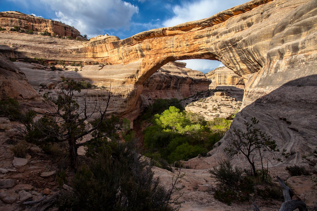 Sipapu Bridge a natural stone bridge towers over a canyon, trees below