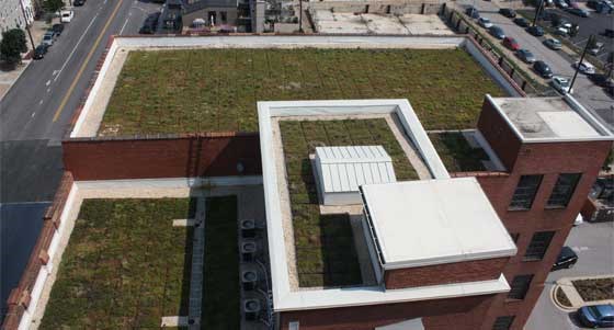 aerial view of a green roof