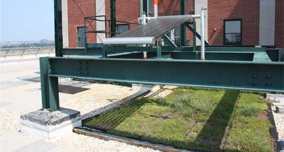 solar panels on a green roof