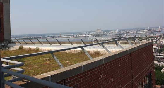 railing at edge of building parapet