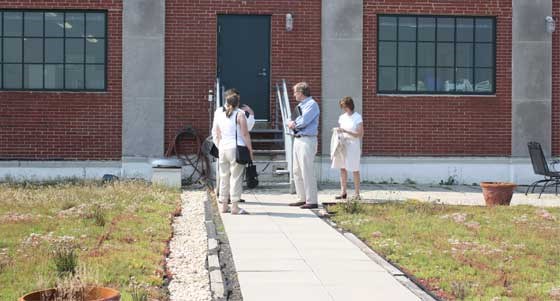 people walking on a green roof