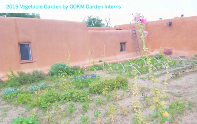 Photo of a vegetable garden enclosed on sides by an adobe home.