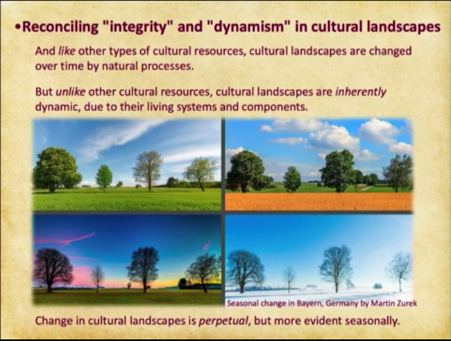 Reconciling integrity and dynamism in cultural landscapes. Photo of trees in a clearing shown across four seasons.