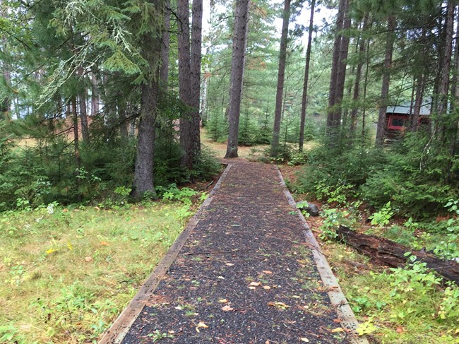 Compacted gravel path lined with timbers passing through mature pine trees
