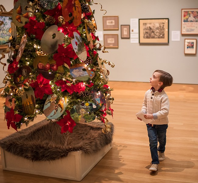 A boy looks at one of the palette trees.