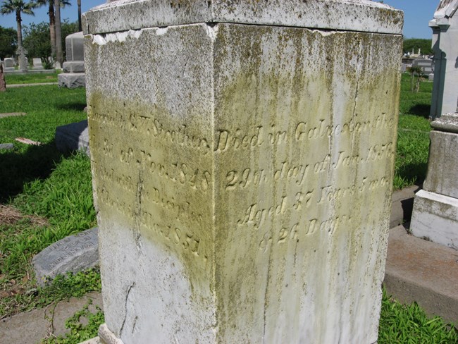 A grave marker with biological growth on the epitaph.