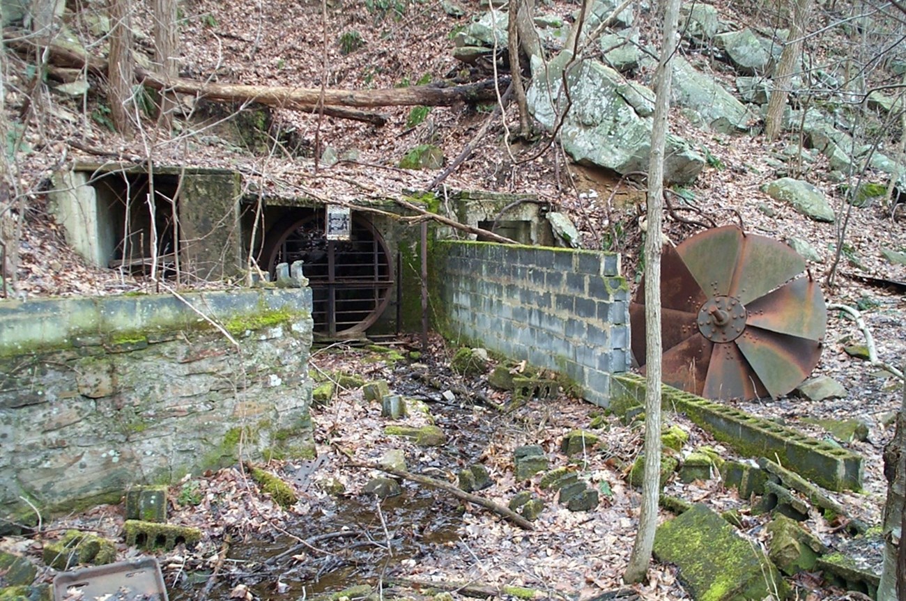 Mine portal an abandoned mine site covered in moss and vegetation