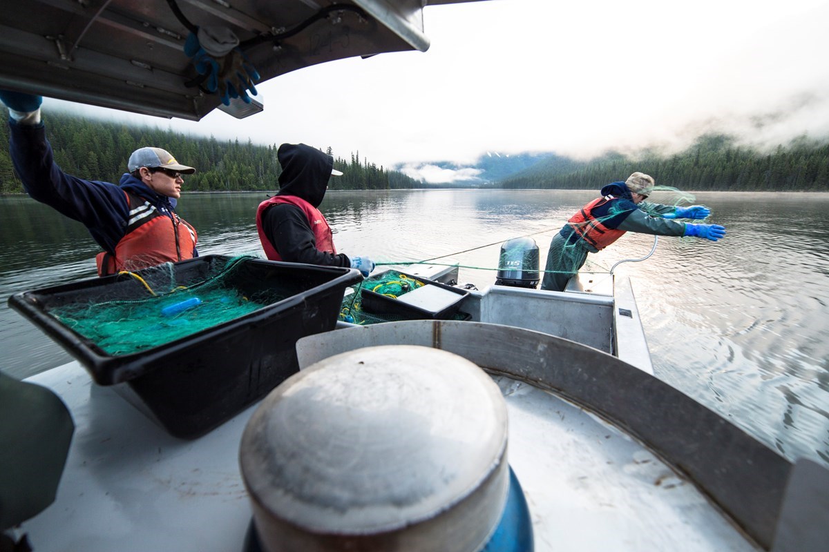 Three scientists in a boat throwing a net into a lake