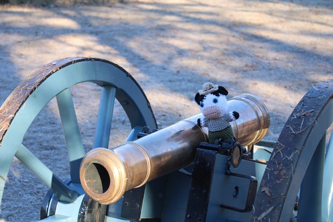 Crotchet cow stands on cannon