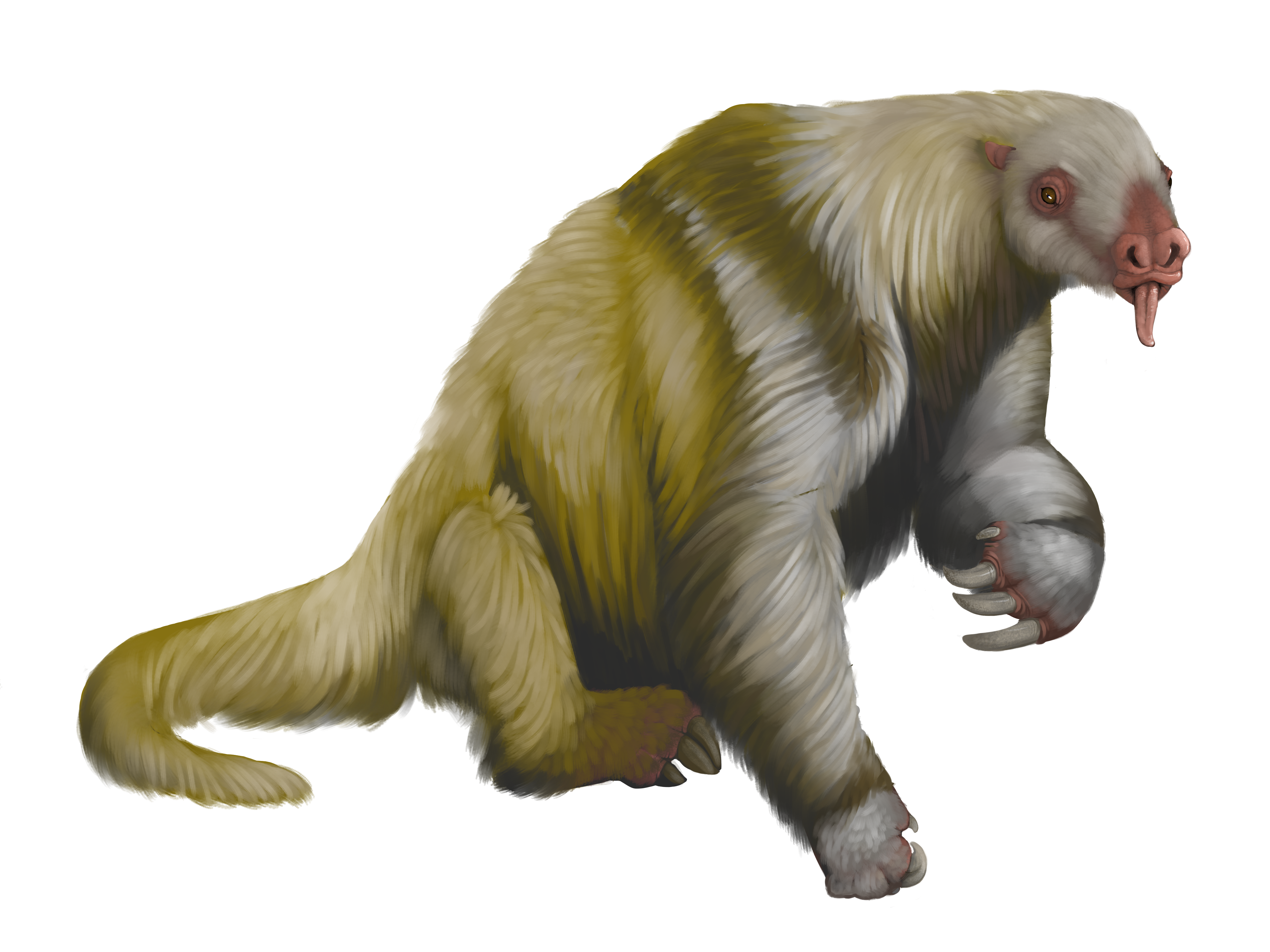 illustration of a giant ground sloth