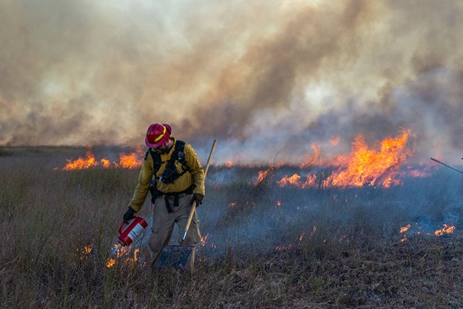 A firefighter uses a drip torch to ignite dried grasses while dark smoke billows behind.