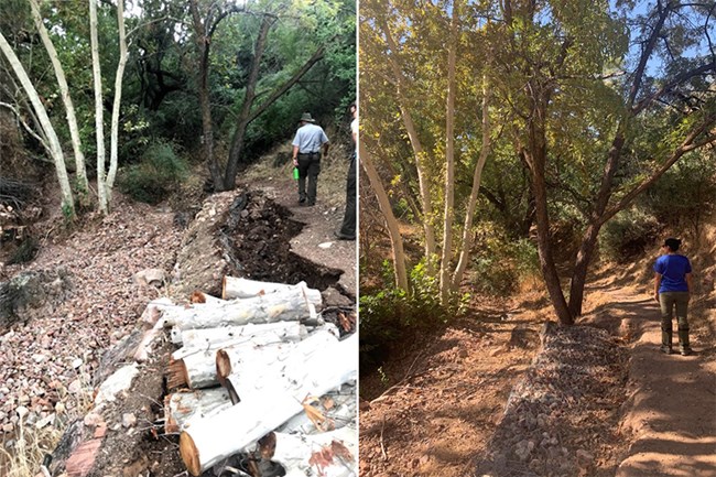 Post-fire trail rehabilitation at Tonto National Monument. Left: Damaged trail eroding with logs next to trail. Right: Rebuilt trail with gabion next to it and beneath.