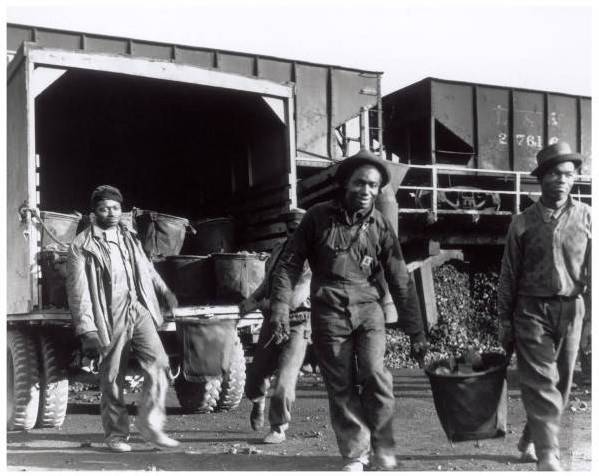 Workers at Oak Ridge carrying coal Four African American men carry large baskets away from a train with piles of coal