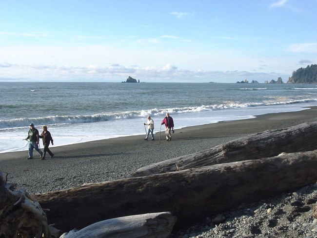 a group of hikers walk along the sandy olympic coast with sea stacks in the background