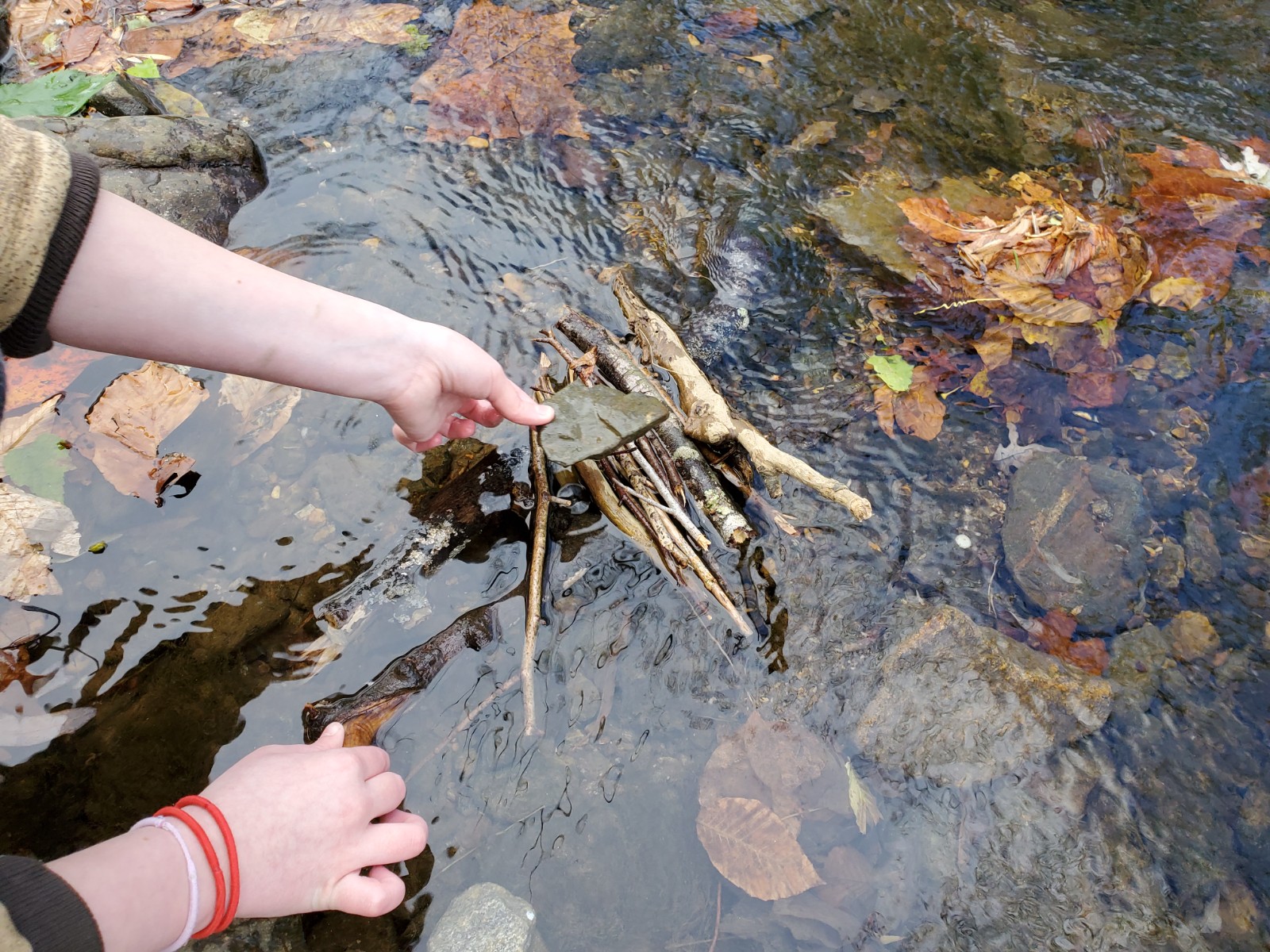A person places a mini raft built out of sticks in the creek.