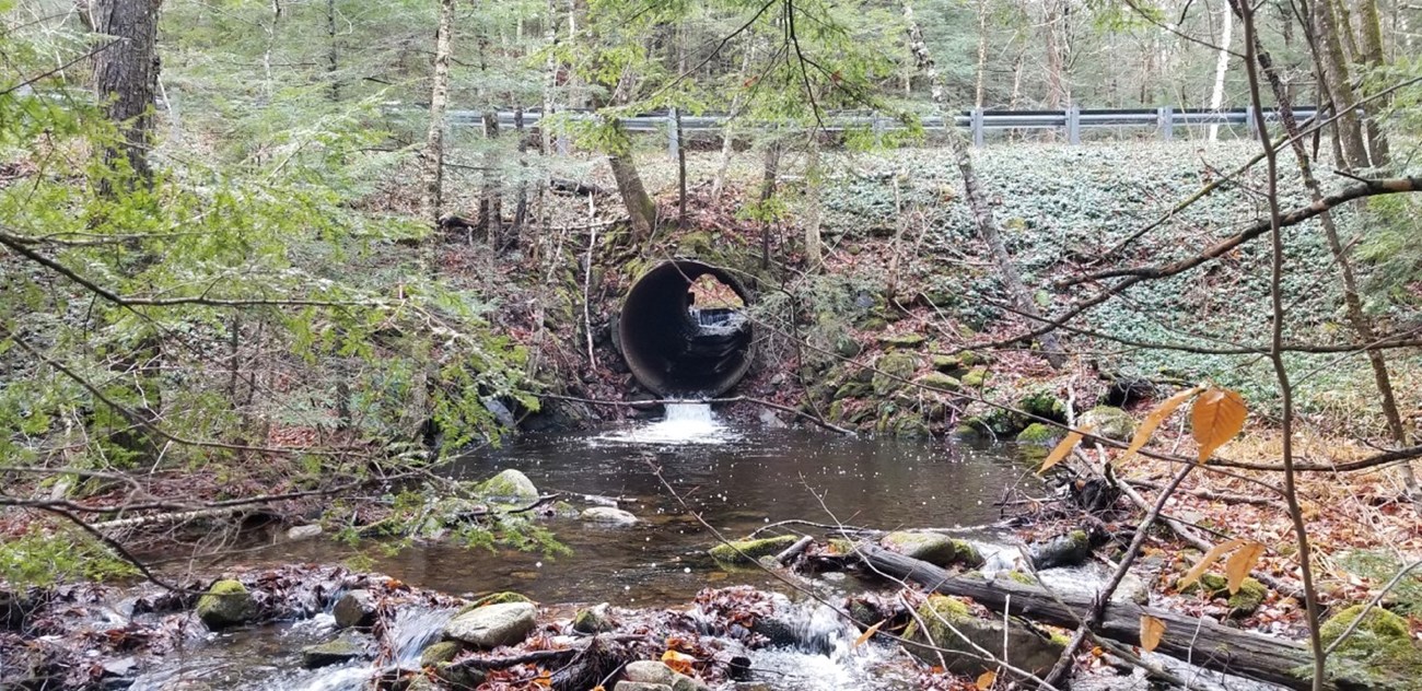 Culverts that don’t provide adequate drainage can cause structural damage to roads and bridges causing blowouts. Photo of Culvert #3 that received funding to be replaced, courtesy of Kim Tobin and John Denno.