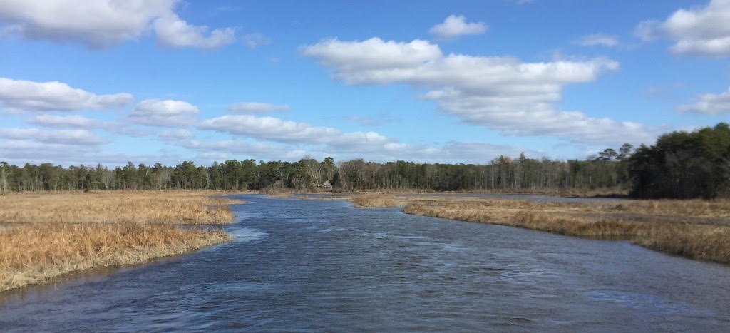 The Manumuskin River, a main tributary and designated waterway of the Maurice. Photo courtesy of Jane Galetto. The Manumuskin River, a main tributary and designated waterway of the Maurice. Photo courtesy of Jane Galetto.