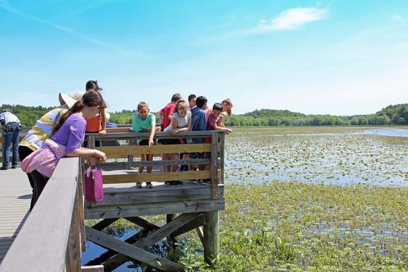 The Riverschools program is based both in the classroom and outdoors. Visiting the river is a highlight for the educators and students alike. Above shows the Great Meadows National Wildlife Refuge. Photo credit: Kelly Moffet. The Riverschools program is based both in the classroom and outdoors. Visiting the river is a highlight for the educators and students alike. Above shows the Great Meadows National Wildlife Refuge. Photo credit: Kelly Moffet.