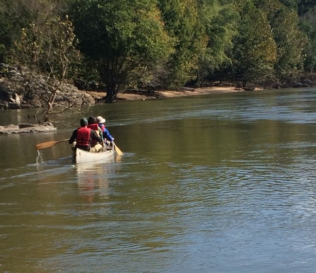 paddling Three field crew members wearing lifejackets paddle a canoe down a murky river lined with trees