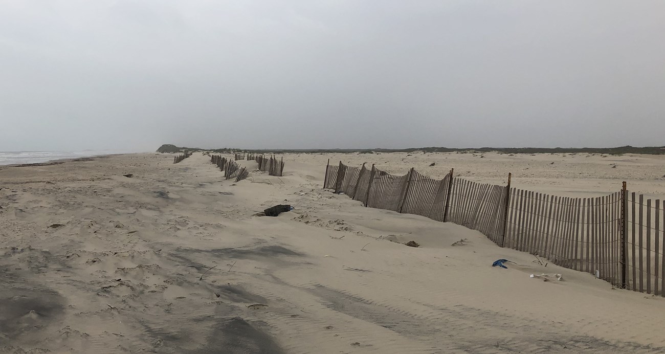 Photo of drift fence at PAIS