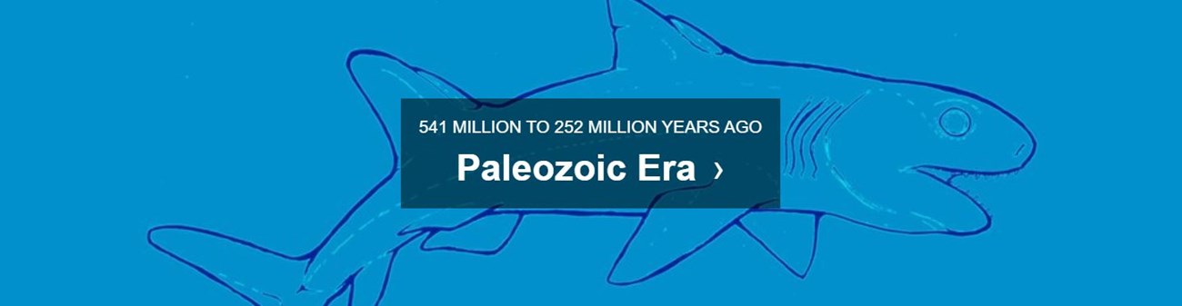 blue background with text paleozoic era 541 MILLION TO 252 MILLION YEARS AGO