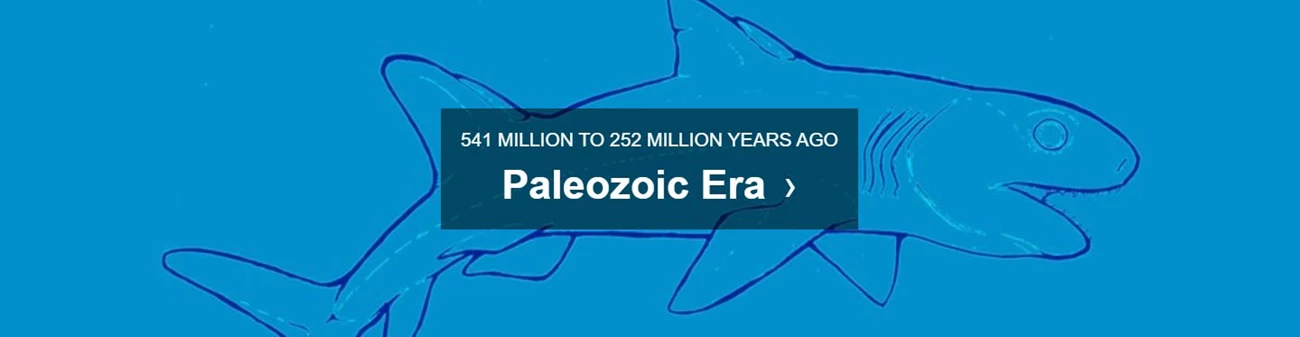 paleozoic banner blue background with text paleozoic era 541 MILLION TO 252 MILLION YEARS AGO