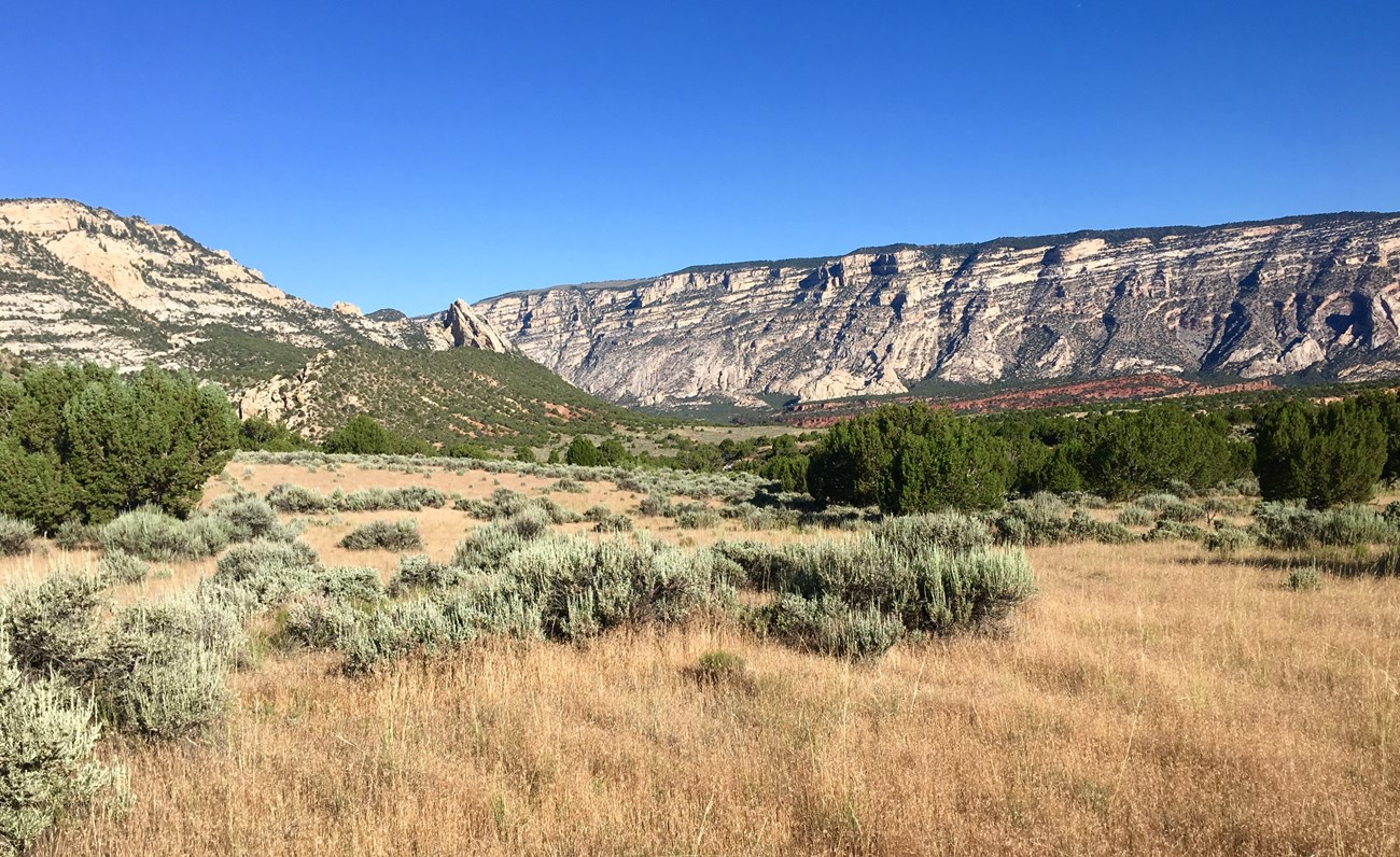 panoramic-view-dinosaur-national-monument Sagebrush plain with junipers and striped cliffs in Dinosaur National Monument.