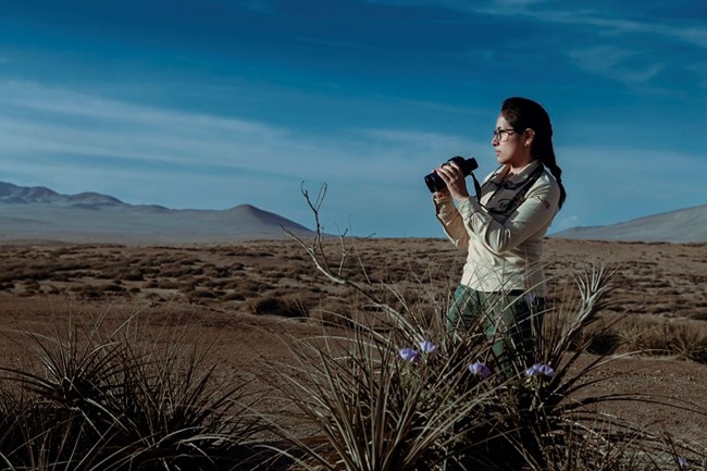 woman holding vinoculars staring at the horizon surrounded by desert vegetation