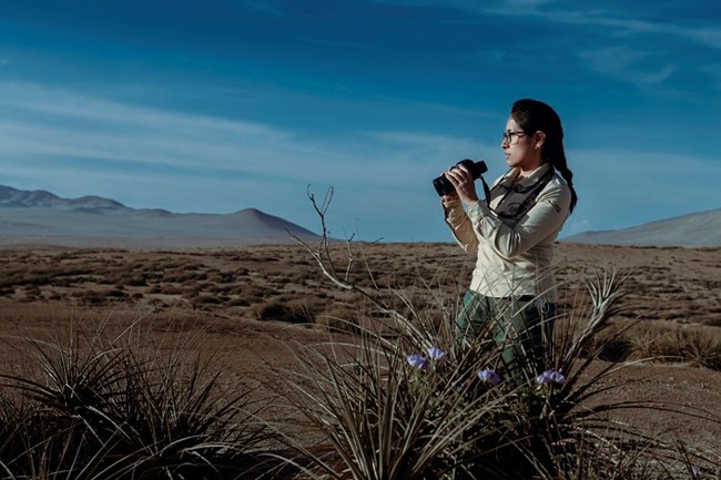 Paola Luyo woman holding vinoculars staring at the horizon surrounded by desert vegetation