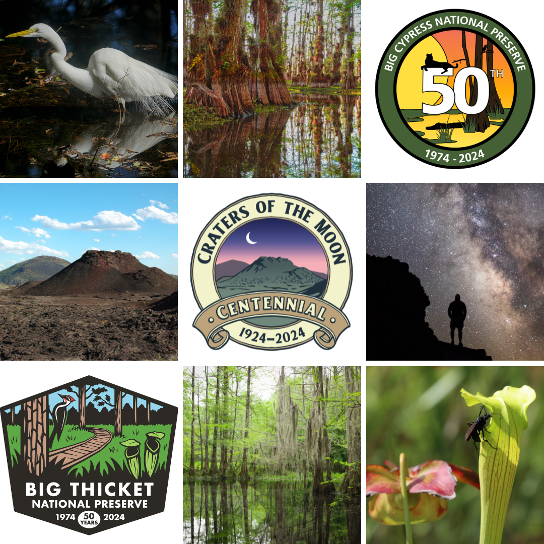 Park Anniversaries a collage of anniversary logos for Big Cypress (50 years), Craters of the Moon (100 years), and Big Thicket (50 years) with iconic images from the parks