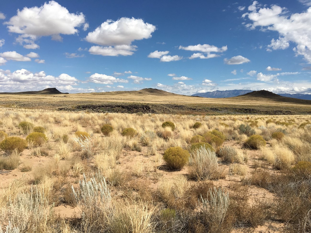 photo of a brush covered landscape with 3 volcanic cones in the distance