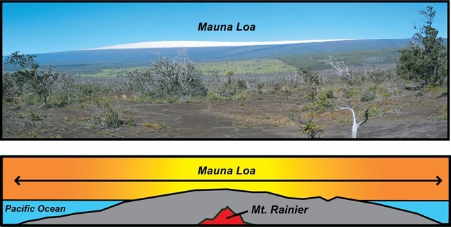 photo illustration of Mauna Loa's broad shield shape compared to the much smaller Mount Rainier composite volcano using a photo and line drawing