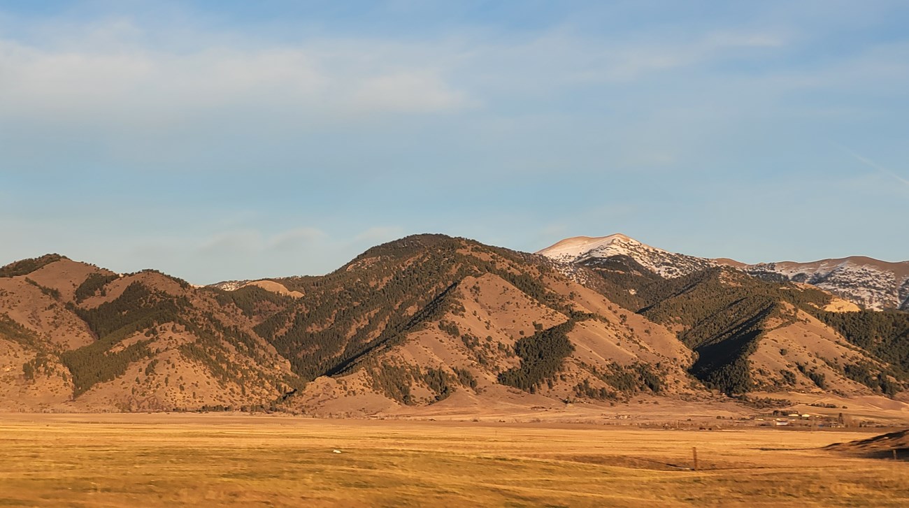 Desert landscape in full sunlight with blue skies