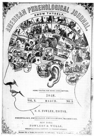 a page takem from a book that shows the brain broken in sections from 1848