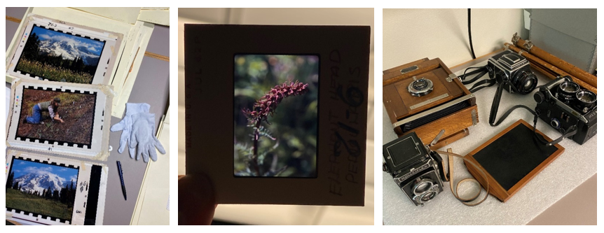 Left to right: Photographs of trail work; a slide of a native plant at Mount Rainier; multiple vintage film camera Left to right: Photographs of trail work; a slide of a native plant at Mount Rainier; multiple vintage film camera