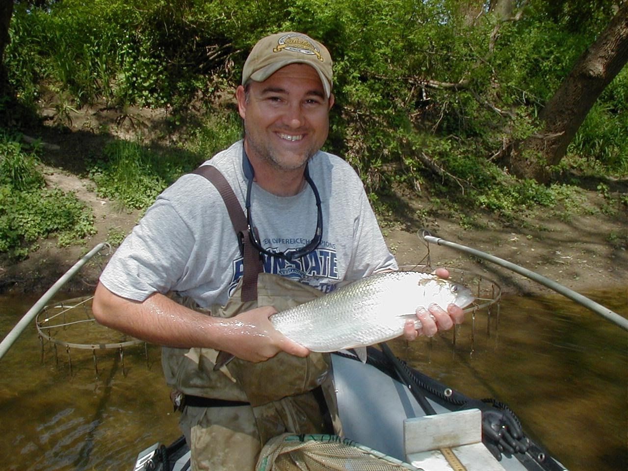 Matt Fisher, a fisheries biologist, catches a hickory shad in White Clay Creek. 2015 marked the first year that shad swam up White Clay Creek since 1777. Photo Credit: Jerry Kaufman. Matt Fisher, a fisheries biologist, catches a hickory shad in White Clay Creek. 2015 marked the first year that shad swam up White Clay Creek since 1777. Photo Credit: Jerry Kaufman.