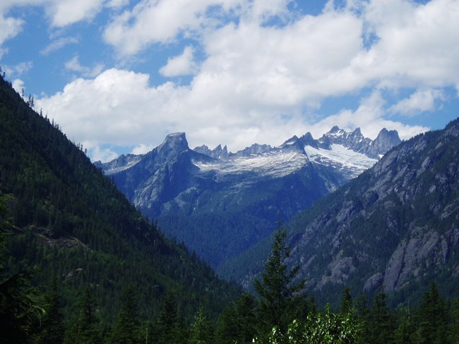 view of the rugged picket range mountains through a valley