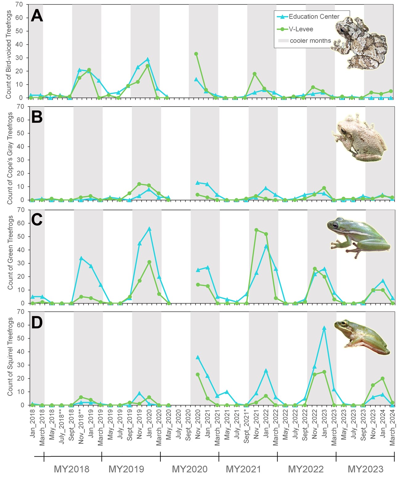 Treefrog captures of four species at the Barataria Preserve from May 2018 to March 2024 Figure of treefrog captures of four species at the Barataria Preserve from May 2018 to March 2024
