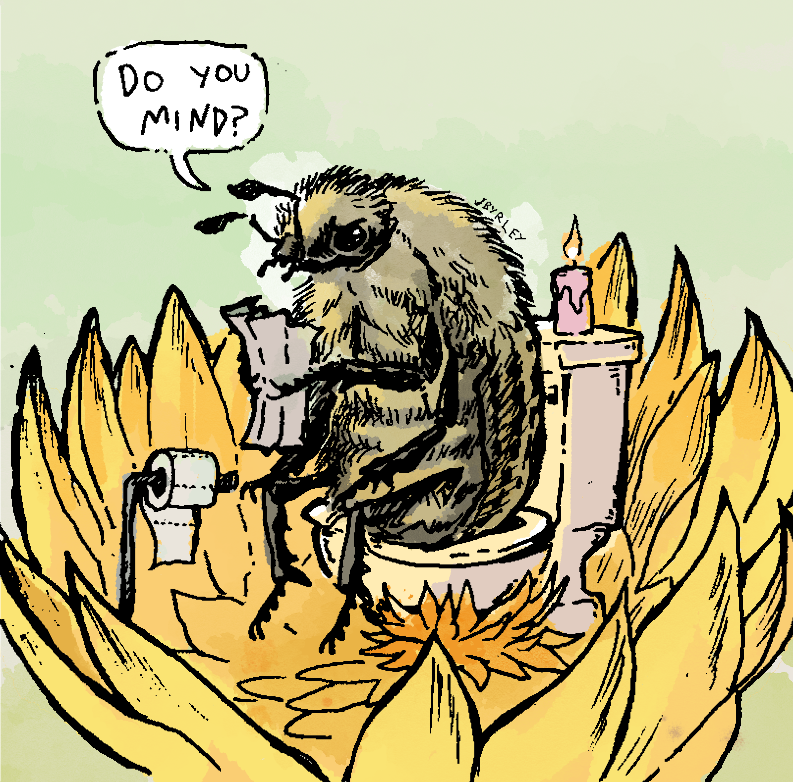 Beetles are messy pollinators. An illustrated beetle sits on the toilet.
