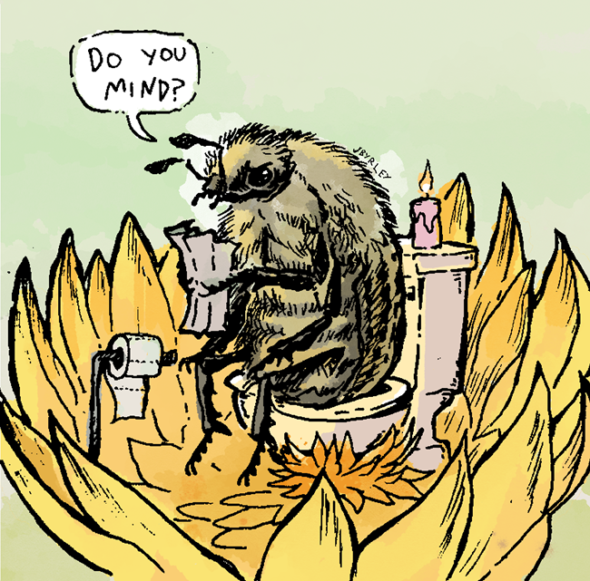 Beetles are messy pollinators. An illustrated beetle sits on the toilet.