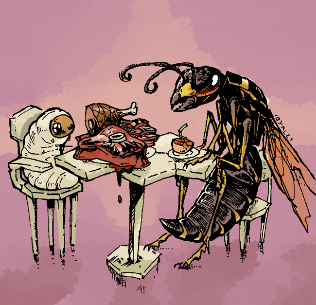 Wasp larvae and adult wasps have different diets. An illustrated wasp with a small piece of fruit sits across from a larva with a large slab of meat.