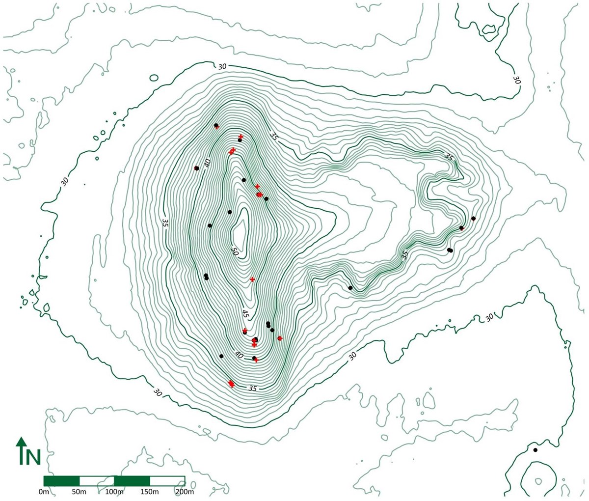 A scale topographical relief map of Mound A which shows locations of exposed roots classed by soil gain (+, red plus sign) and soil loss (*, black asterisk).