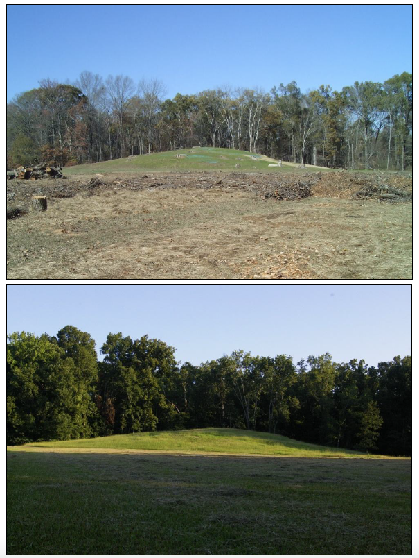 Mound B with a ground cover blanket of excelsior and rye grass in December of 2010. Tree stumps from removed trees are evident. Mound B with a thick coat of grass in August of 2013. Erosion is apparent where trees once stood.